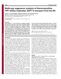Multicopy Suppressor Analysis of Thermosensitive YIP1 Alleles Implicates GOT1 in Transport from the ER