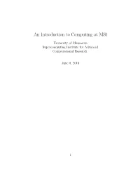An Introduction to Computing at MSI