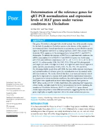 Determination of the Reference Genes for Qrt-PCR Normalization and Expression Levels of MAT Genes Under Various Conditions in Ulocladium