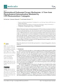 Photoinduced Endosomal Escape Mechanism: a View from Photochemical Internalization Mediated by CPP-Photosensitizer Conjugates