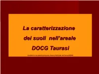 Presentazione Di Powerpoint