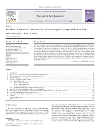 Sea Level: a Review of Present-Day and Recent-Past Changes and Variability