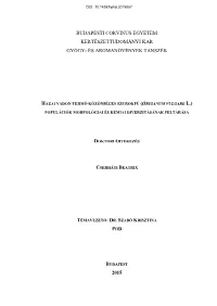 Pdf Internet2) Internet3) 126