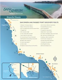 Ragged Point Activity