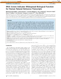 Rnai Screen Indicates Widespread Biological Function for Human Natural Antisense Transcripts
