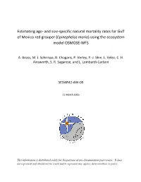 S42 AW 05 OSMOSE-WFS.Pdf
