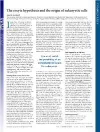 The Eocyte Hypothesis and the Origin of Eukaryotic Cells