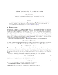 A Brief Introduction to Operator Spaces