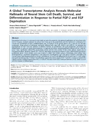 A Global Transcriptome Analysis Reveals Molecular Hallmarks of Neural Stem Cell Death, Survival, and Differentiation in Response to Partial FGF-2 and EGF Deprivation