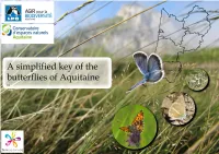A Simplified Key to the Butterflies of Aquitaine