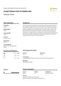 Acetyl-Histone H2A-K5 Rabbit Pab