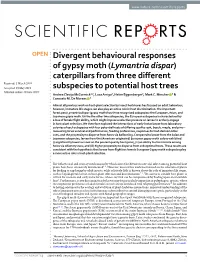 Divergent Behavioural Responses of Gypsy Moth