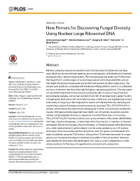 New Primers for Discovering Fungal Diversity Using Nuclear Large Ribosomal DNA