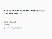 Peering Into the Obstruent-Sonorant Divide: the View from /V