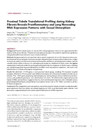 Proximal Tubule Translational Profiling During Kidney Fibrosis Reveals Pro- Inflammatory and Lncrna Expression Patterns with Sexual Dimorphism