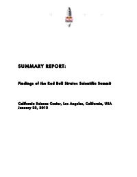 Summary Report