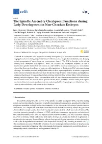 The Spindle Assembly Checkpoint Functions During Early Development in Non-Chordate Embryos