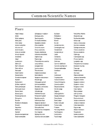 Common/Scientific Names