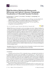 High Resolution Multimodal Photoacoustic Microscopy and Optical Coherence Tomography Visualization of Choroidal Vascular Occlusion