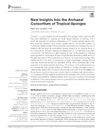 New Insights Into the Archaeal Consortium of Tropical Sponges