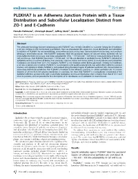 PLEKHA7 Is an Adherens Junction Protein with a Tissue Distribution and Subcellular Localization Distinct from ZO-1 and E-Cadherin