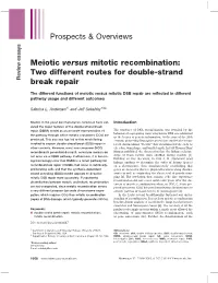 Prospects & Overviews Meiotic Versus Mitotic Recombination: Two Different