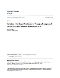 Variations in the Dragonfly Microbiome Through Life Stages and Its Ability to Harbor Antibiotic Resistant Bacteria