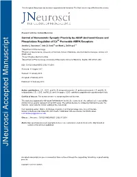 Control of Homeostatic Synaptic Plasticity by AKAP-Anchored Kinase and Phosphatase Regulation of Ca2+-Permeable AMPA Receptors