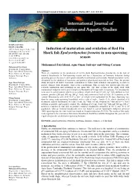 Induction of Maturation and Ovulation of Red Fin Shark Fish
