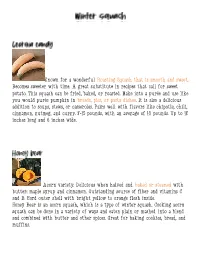 Known for a Wonderful Roasting Squash That Is Smooth and Sweet
