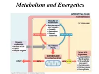Metabolism and Energetics Oxidation of Carbon Atoms of Glucose Is the Major Source of Energy in Aerobic Metabolism