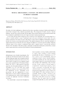 Muscle Arrangement, Function and Specialization in Recent Coleoids