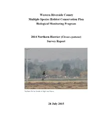 Northern Harrier Survey Report 2014