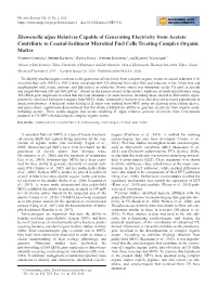 Shewanella Algae Relatives Capable of Generating Electricity From