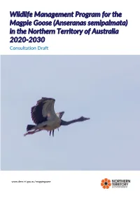 Wildlife Management Program for the Magpie Goose (Anseranas Semipalmata) in the Northern Territory of Australia 2020-2030 Consultation Draft
