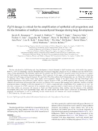Fgf10 Dosage Is Critical for the Amplification of Epithelial Cell Progenitors and for the Formation of Multiple Mesenchymal Lineages During Lung Development