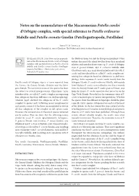 Notes on the Nomenclature of the Macaronesian Patella Candei D