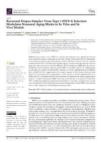 Recurrent Herpes Simplex Virus Type 1 (HSV-1) Infection Modulates Neuronal Aging Marks in in Vitro and in Vivo Models