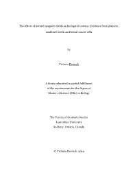 The Effects of Natural Magnetic Fields on Biological Systems: Evidence from Planaria
