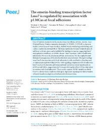 The Emerin-Binding Transcription Factor Lmo7 Is Regulated by Association with P130cas at Focal Adhesions