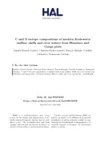 C and O Isotope Compositions of Modern Fresh-Water Mollusc Shells