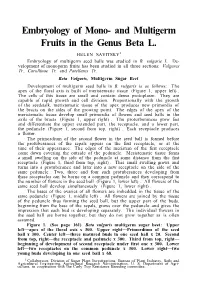 Embryology of Mono- and Multigerm Fruits in the Genus Beta L. HELEN SAVITSKY1 Embryology of Multigerm Seed Balls Was Studied in B
