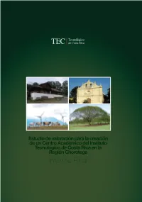 Informe Final
