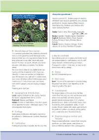 Morphological Description Geographical