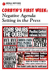 Negative Agenda Setting in the Press Introduction & Reports