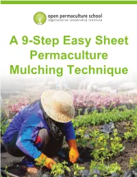A 9-Step Easy Sheet Permaculture Mulching Technique Mulch Is Marvelous