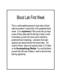 Blood Lab First Week