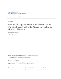 Growth and Age at Reproductive Maturity of the Carolina Pigmy Rattlesnake, Sistrurus M
