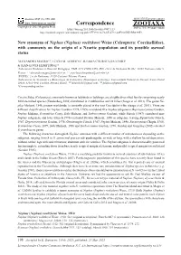 (Nephus) Voeltzkowi Weise (Coleoptera: Coccinellidae), with Comments on the Origin of a Neartic Population and Its Possible Asexual Status