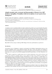 Adaptive Morpho-Traits, Taxonomy and Biogeography of Metania Gray, 1867 (Porifera: Spongillina: Metaniidae) with the Description of a New Species from Madagascar
